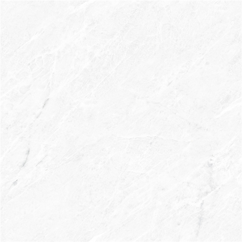 V-666W8305-香雪梅