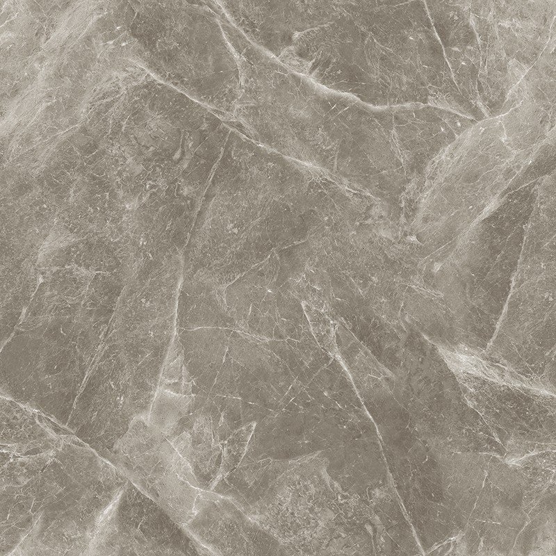 V-13CH807 欧米茄灰