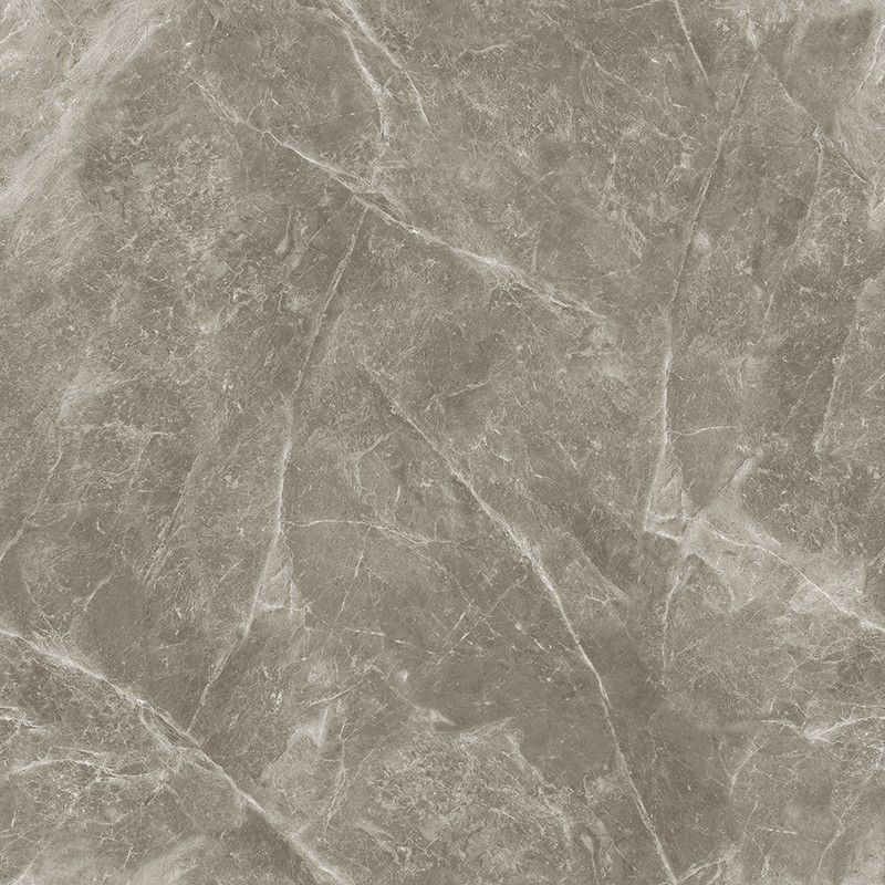 V-13CH807 欧米茄灰