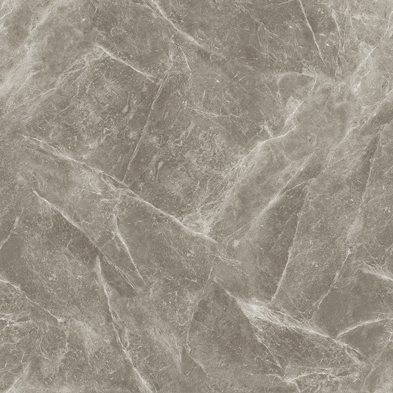 V-13CH807 欧米茄灰