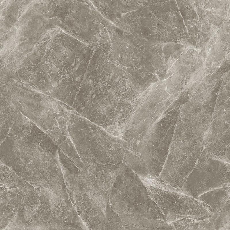 V-13CH807 欧米茄灰