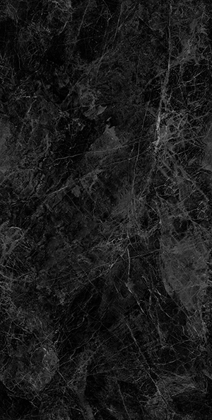 YB715067B-夜舟荷塘